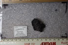 Schaurteite