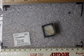 Fleischerite