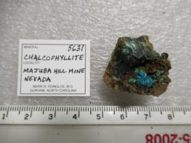Chalcophyllite