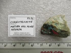 Cyanotrichite