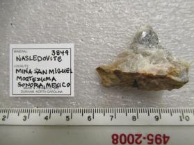 Nasledovite