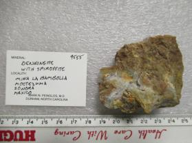 Denningite with Spiroffite