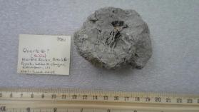 Quartz