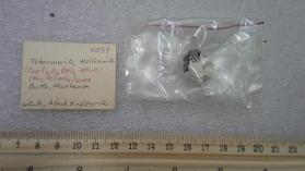 Tobermorite, Wolframite