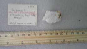 Taramellite