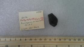 Uvite