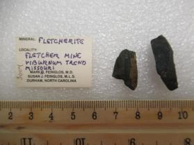 Fletcherite (2 pieces)