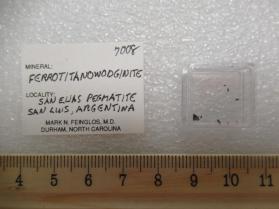 Ferro-titanowodginite