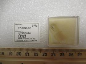 Foordite