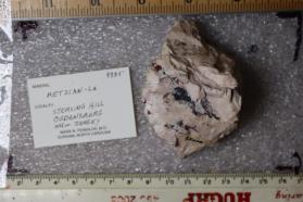 Retzian-La