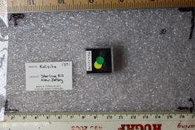 Kolicite
