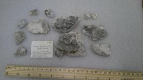 "Tabby Block" with Oyster Shells