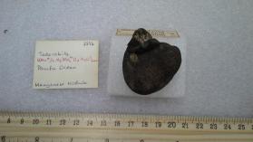 Todorokite (Manzanese Nodule)