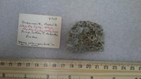 Tacharanite, Prehnite