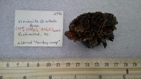 Vivianite after Whale Bone