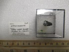 Goosecreekite