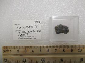 Herzenbergite