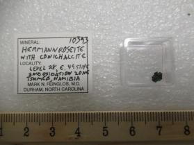 Hermannroseite with Conichalcite