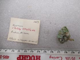 Gypsum