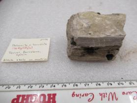 Dolomite, v. Teruelite