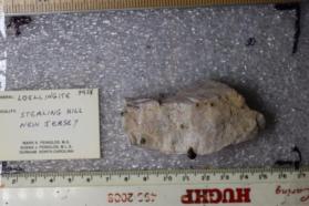 Loellingite
