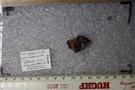 Segnitite with Carminite