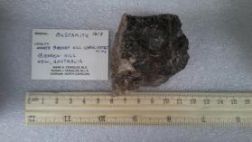 Bustamite