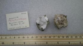 Xonotlite