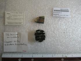 Christanleyite (2 specimens)