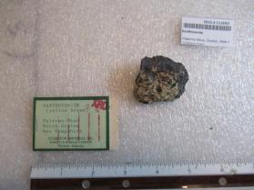Xanthoxenite