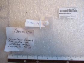 Pansnerite/Pauserite