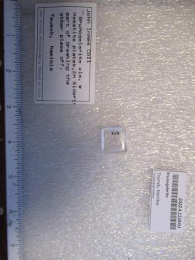 Brunogeierite