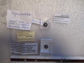 Magnesiohatertite (2 specimens)