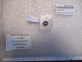 Cryptochalcite
