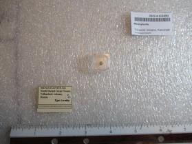 Meniaylovite
