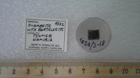 Ovamboite with Bartelkeite