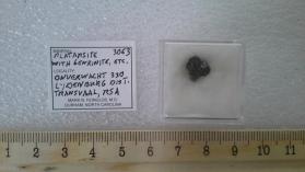 Platarsite with Genkinite