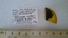 Putoranite with Mooihoekite and Nickel-Putranite