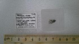 Potassicferrimagnesiosadanagaite (not in IMA)