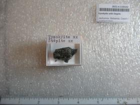 Vysokyite with Stepite
