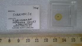 Shakhovite