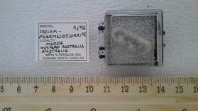 Sodium-pharmacosiderite (not in IMA)