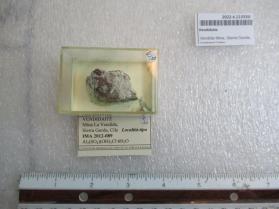 Vendidaite