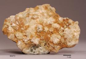 TREMOLITE