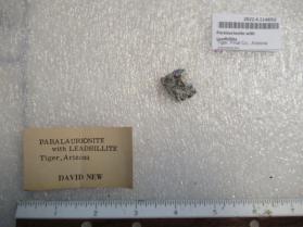 Paralaurionite with Leadhillite
