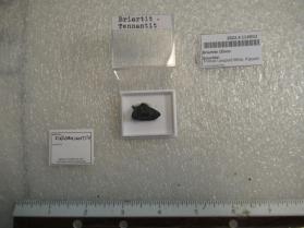 Briartite (Zinco Briartite)