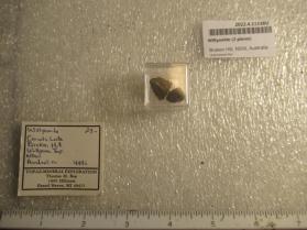 Willyamite (2 pieces)