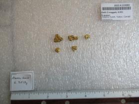 Gold (5 nuggets, 6.9519 grams)