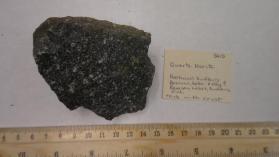 Quartz Norite