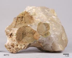Montmorillonite